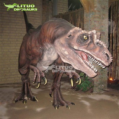 מגרש משחקים מקורה דינוזאור